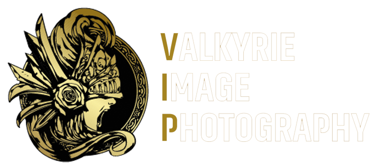 Valkyries-Logo_01-08